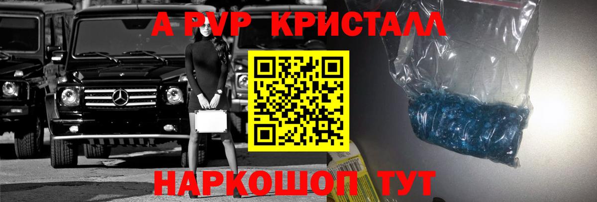 Alfa_PVP СК Великий Новгород