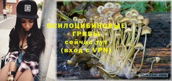 шишки Нефтекумск