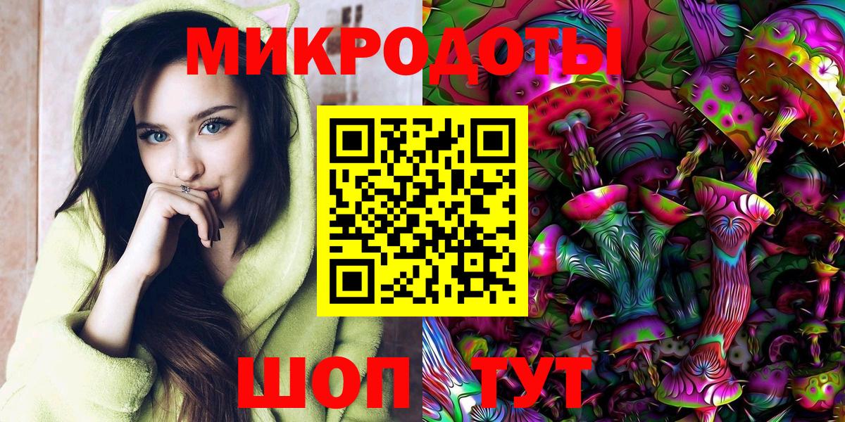 Галлюциногенные грибы Psilocybine cubensis Великий Новгород