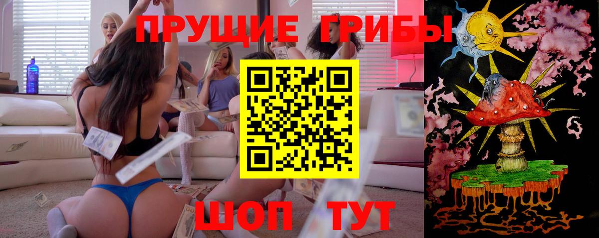 Великий Новгород  Псилоцибиновые грибы Cubensis  Вход с VPN 