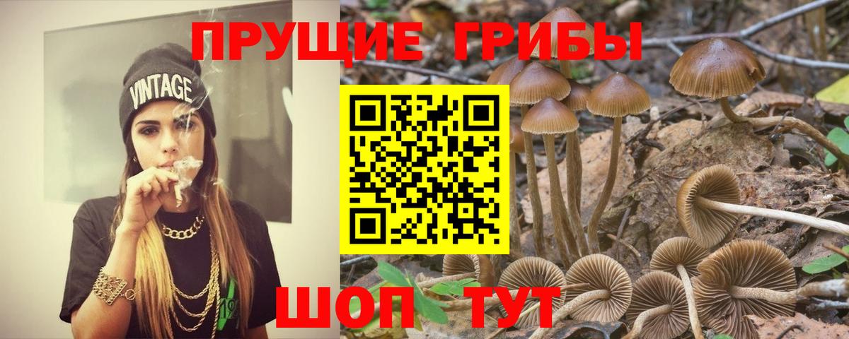 Галлюциногенные грибы мухоморы Великий Новгород