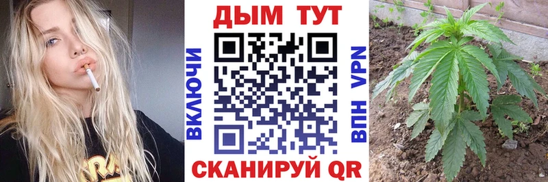 купить наркоту  Великий Новгород  Бошки марихуана гибрид 