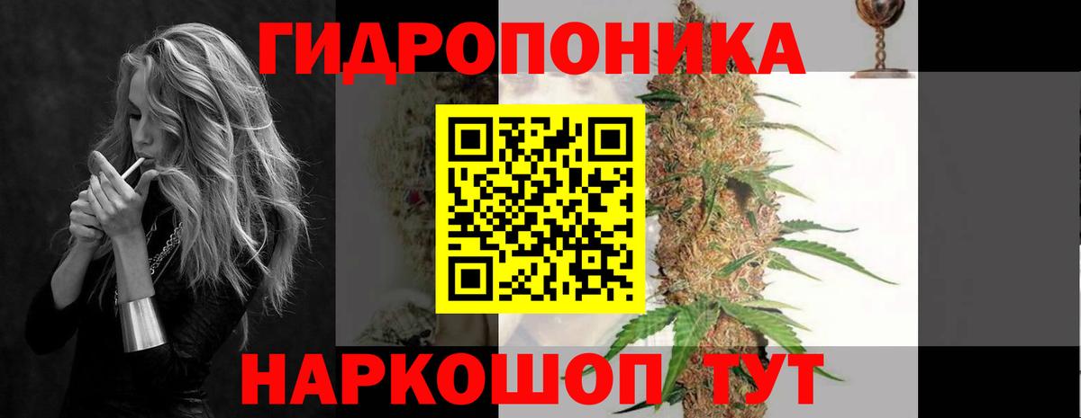 Шишки марихуана THC 21%  Конопля OG Kush  МАРИХУАНА OG Kush  Вход с VPN  Великий Новгород  Марихуана MAZAR 